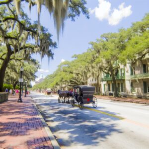 Urlaub Georgia • Savannah (Ratgeber)
